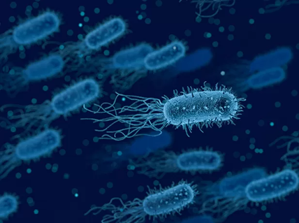 Microscopisch beeld van een bacterie
